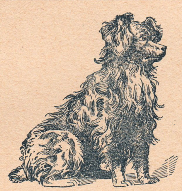 vintage dog clipart - photo #39