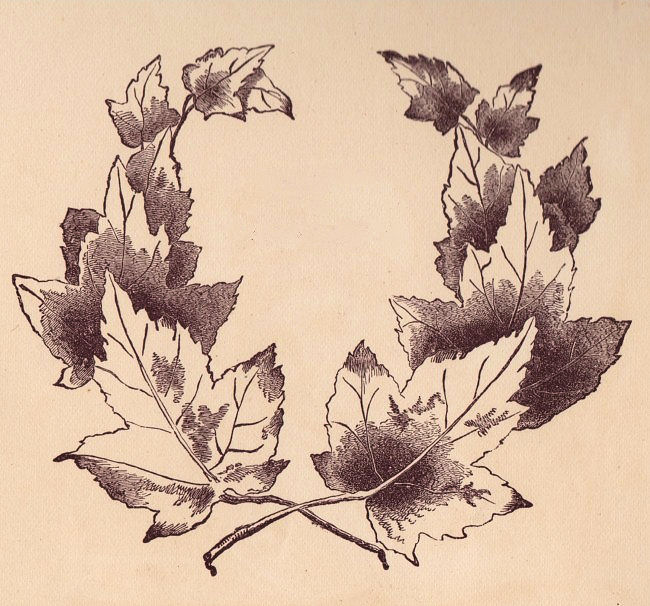 vintage leaf clip art - photo #4