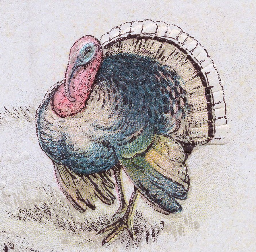 Free Thanksgiving Clip Art   Turkey Postcard   The ...