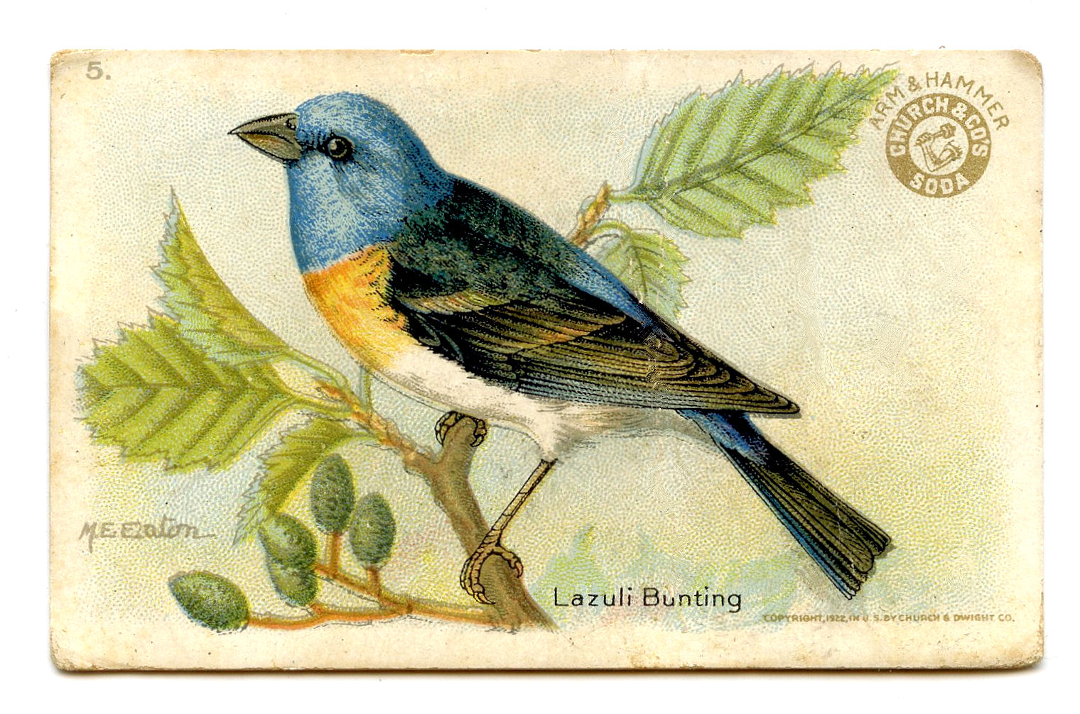 free clipart of vintage birds - photo #10