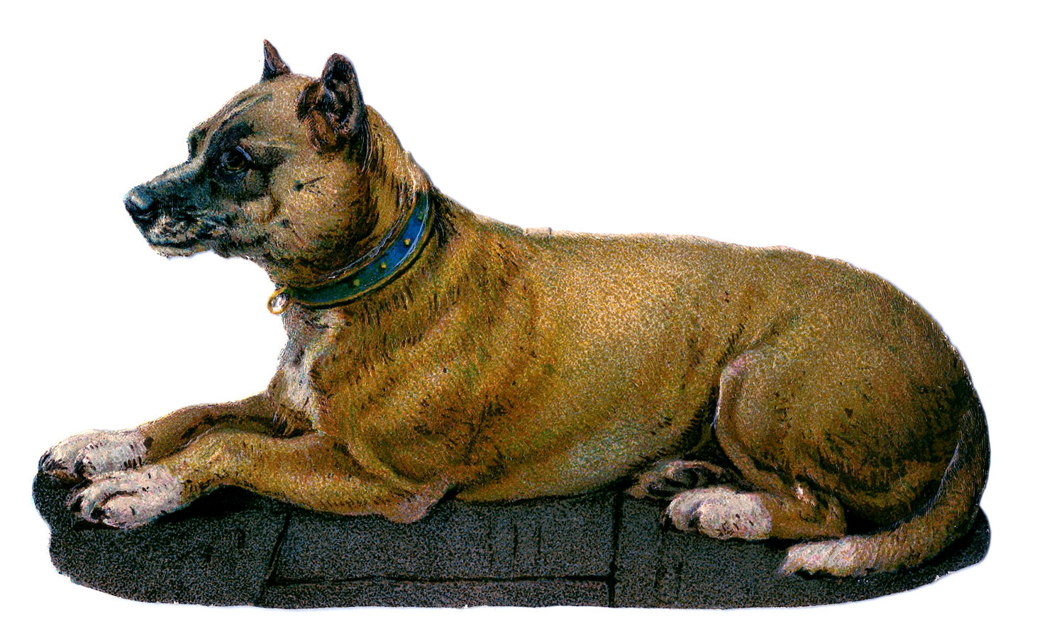 vintage dog clip art - photo #11