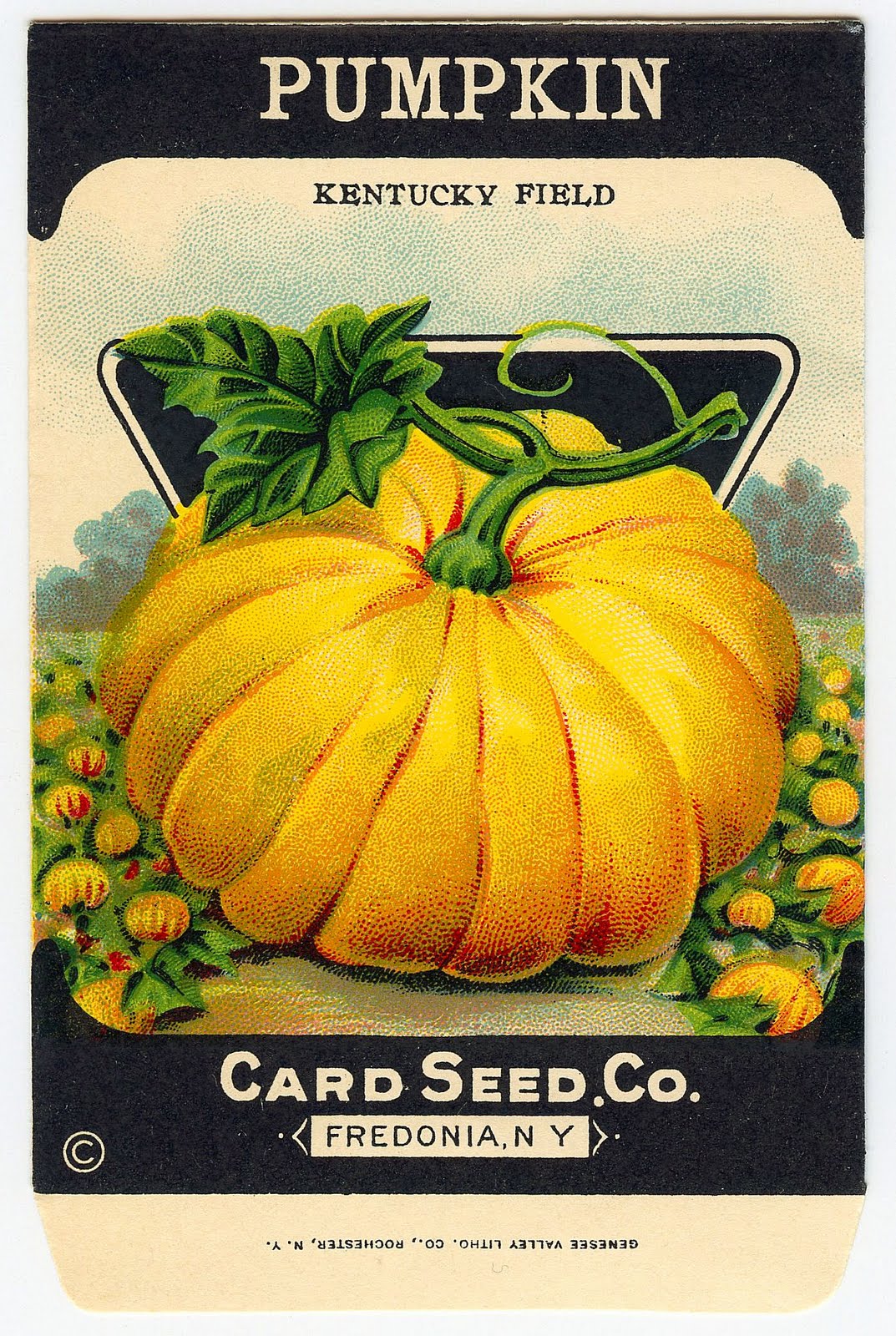 vintage pumpkin clip art - photo #11