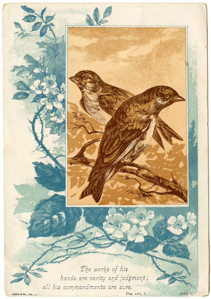 Birds with Wild Roses Image