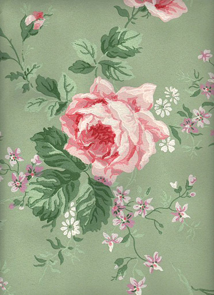 Vintage Wall Paper Sage Roses