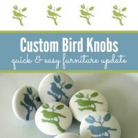 Bird Knobs Pinterest Image