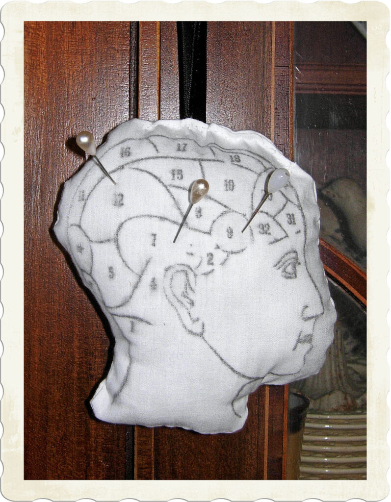Finished Phrenology Head Pincushion with Pearl pins