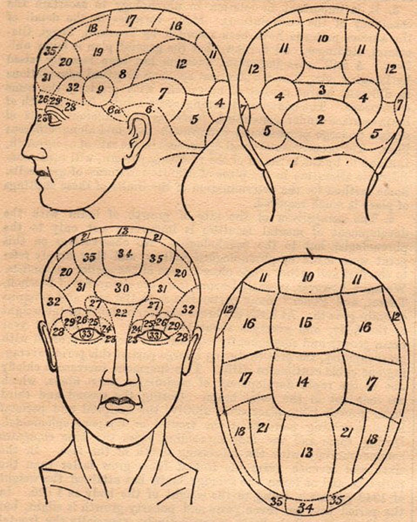 Antique Phrenology Head Ephemera