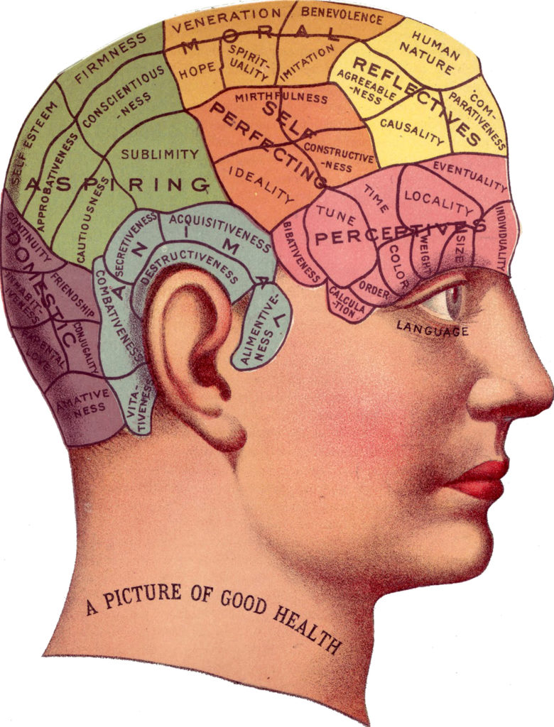 Phrenology Head Diagram in color