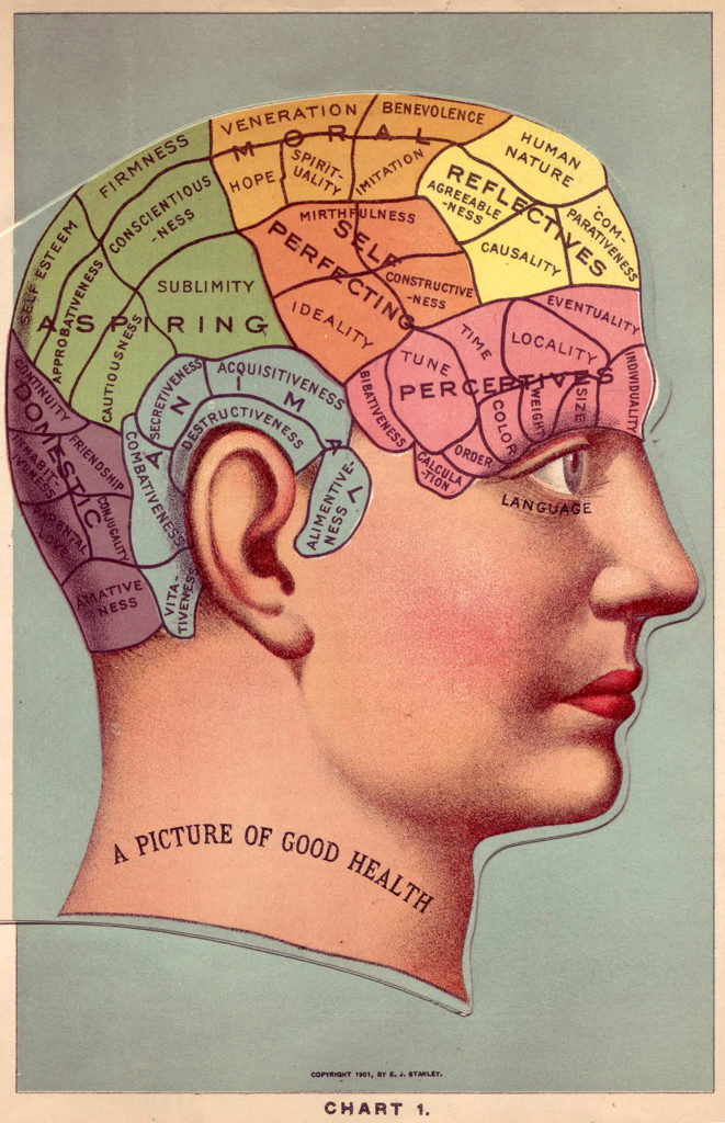 Phrenology Head Chart Color Diagram