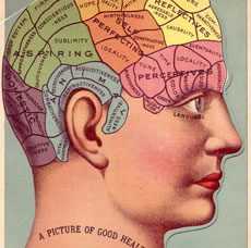 diagram of a phrenology head
