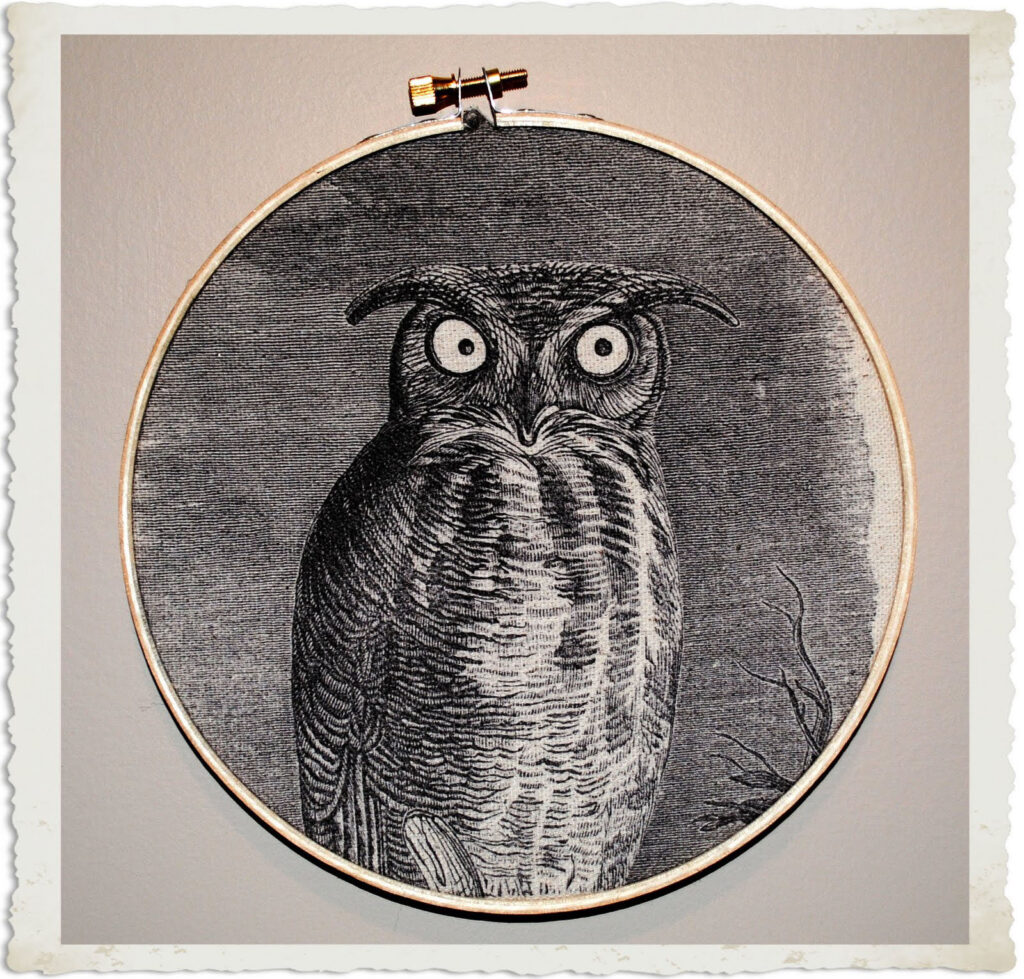 Halloween Owl Wall Decor with Hoop Frame