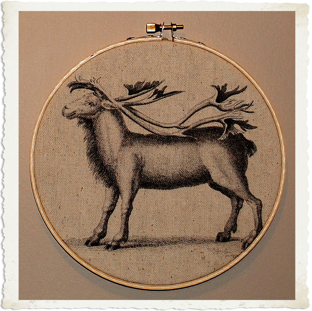 Reindeer Decoration framed with Embroidery Hoop