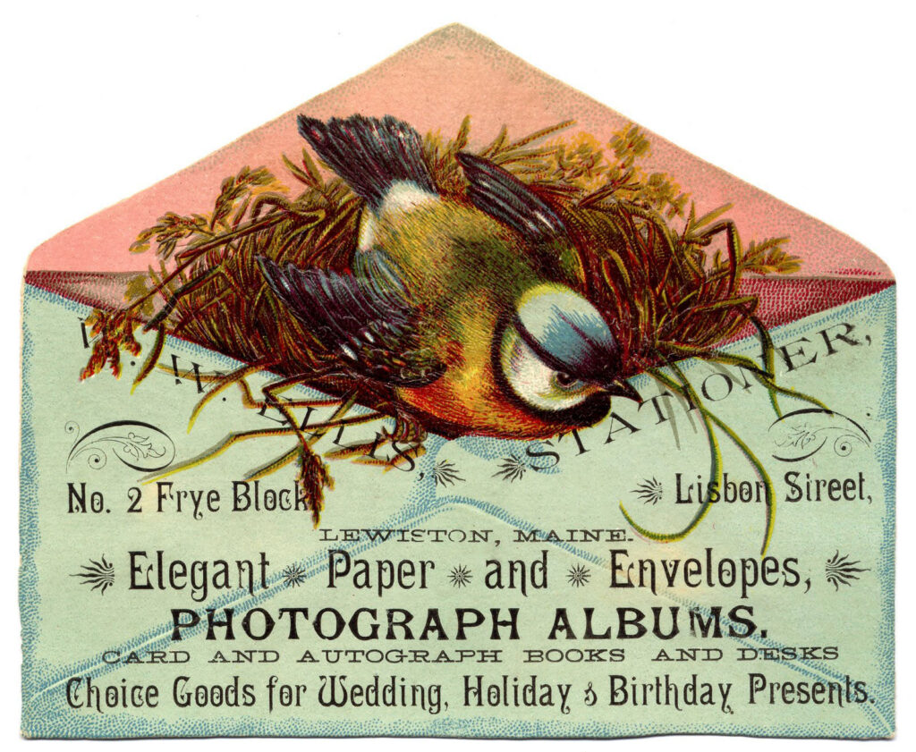 bird in envelope