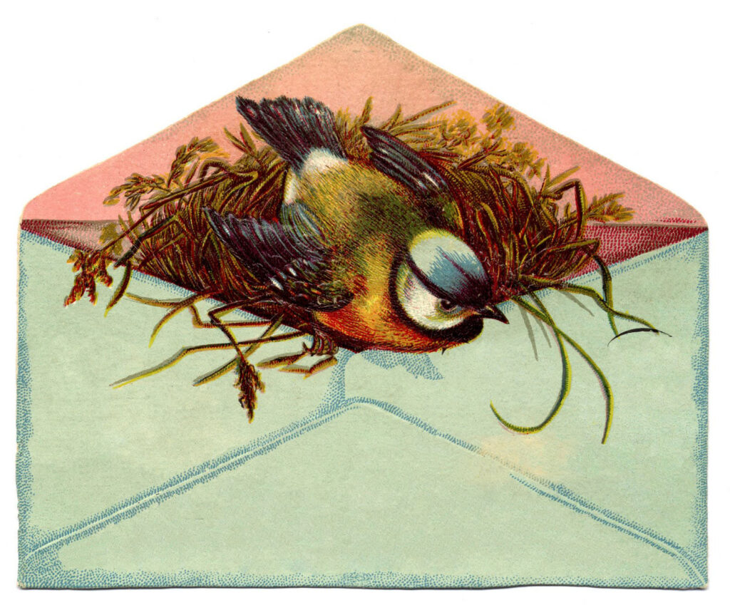 Bird in Envelope plain image