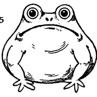Frog Line Art Drawing