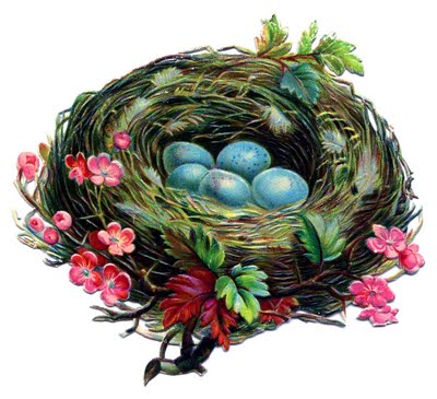 Bird nest with egg clipart, Illustration of a Bird Nest with Egg