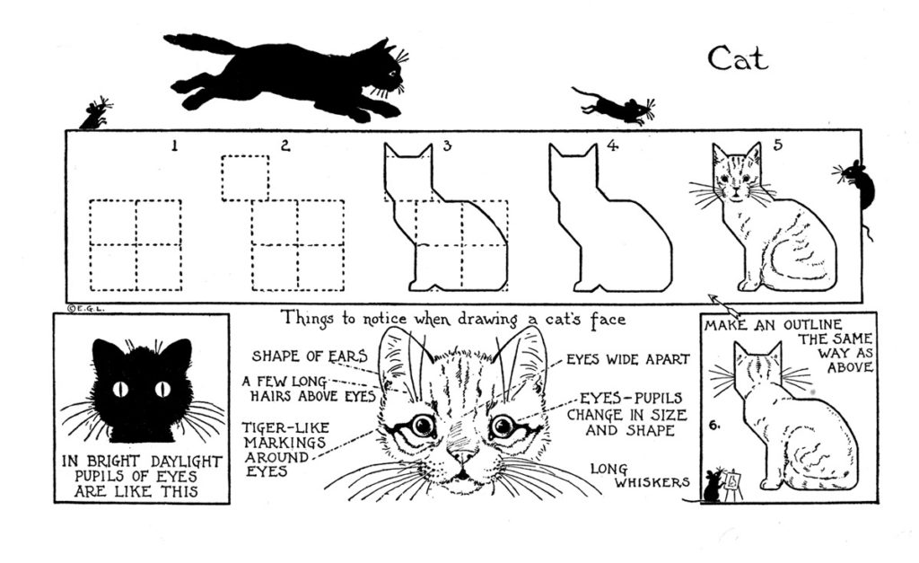 How to Draw a Cat