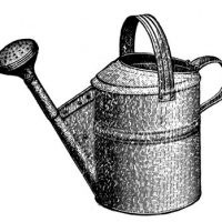 watering can clipart