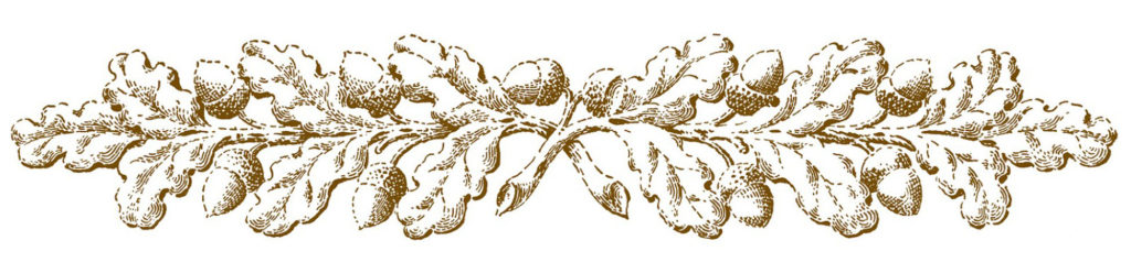 Oak Branch Ornaments Brown Image