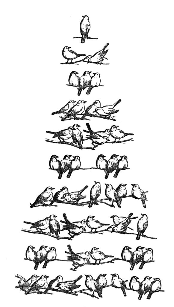 Christmas Clip Art Birds