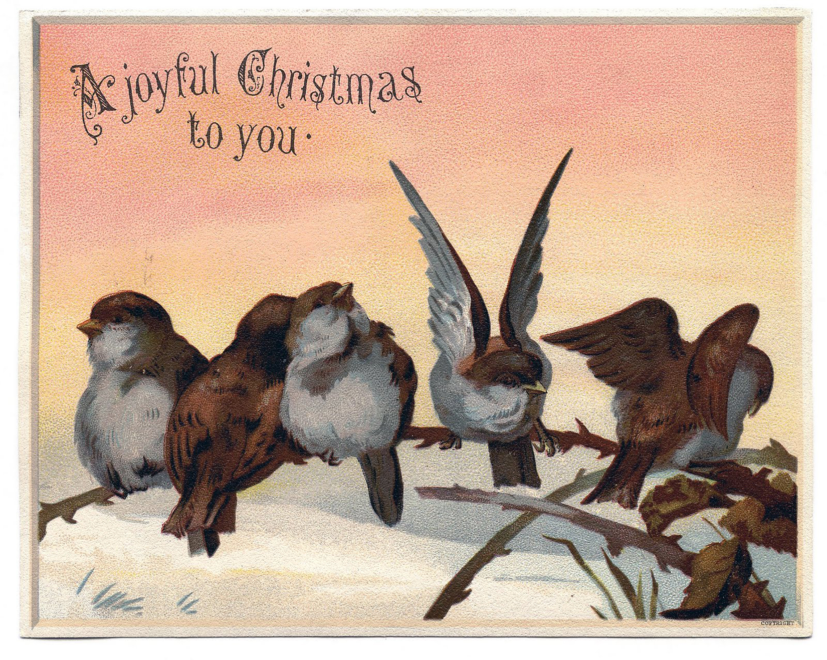 vintage christmas bird clip art