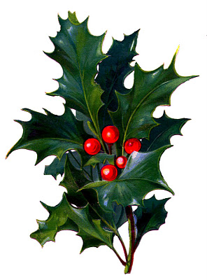 Victorian Christmas Clip Art - Holly with Bright Red Berries - The