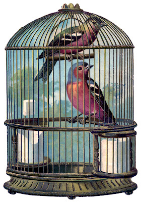 Vintage Graphic - Fabulous Bird Cage with Birds - The Graphics Fairy
