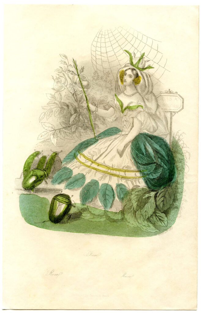 Vintage Garden Fairy Queen Print