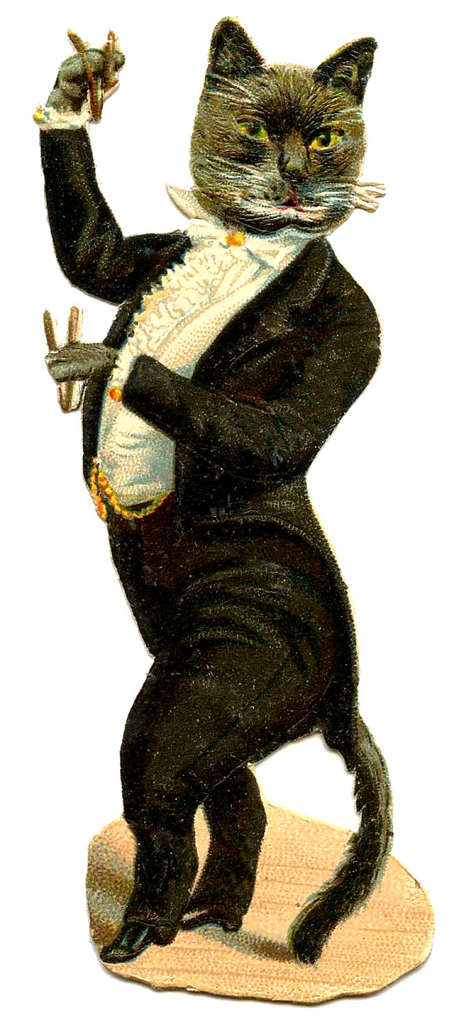 Antique Graphic - Cat in Tuxedo - The Graphics Fairy