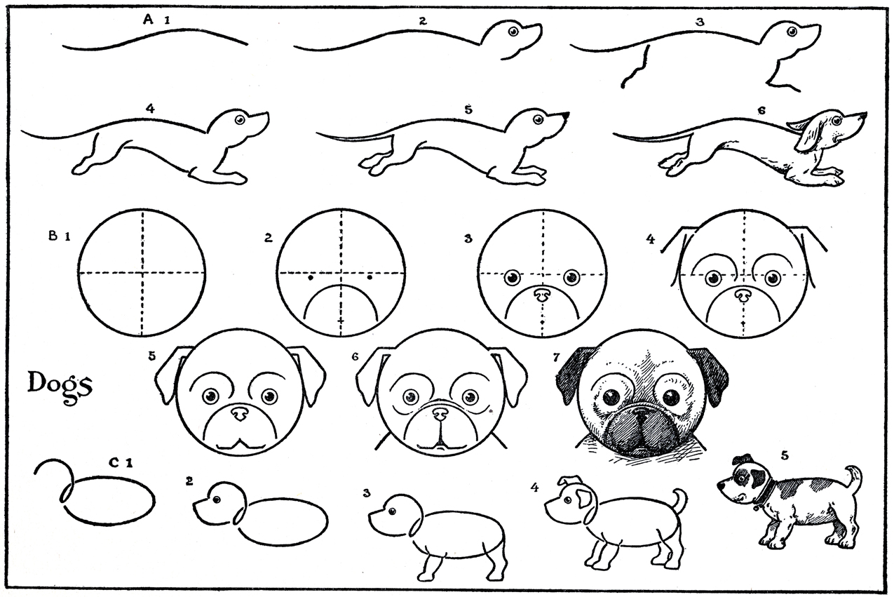 How to Draw a Dog Pug Dachshund etc The Graphics Fairy