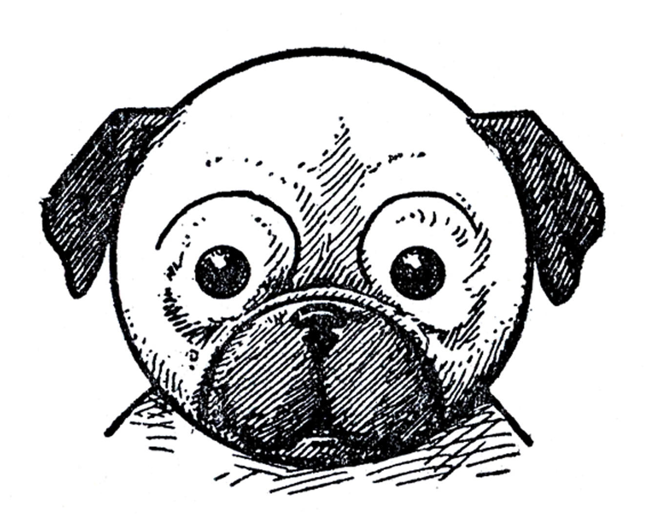 Clipart Dog Drawing