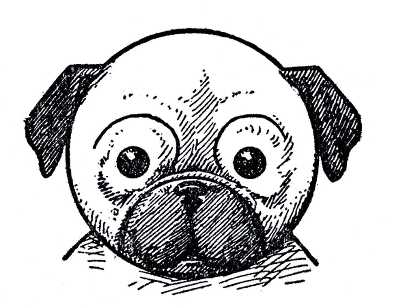 Easy How to Draw a Pug Tutorial and Pug Dog Coloring Page