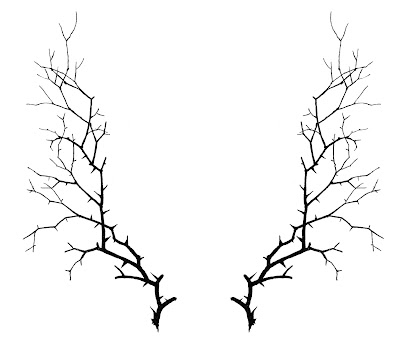 Spooky branches image