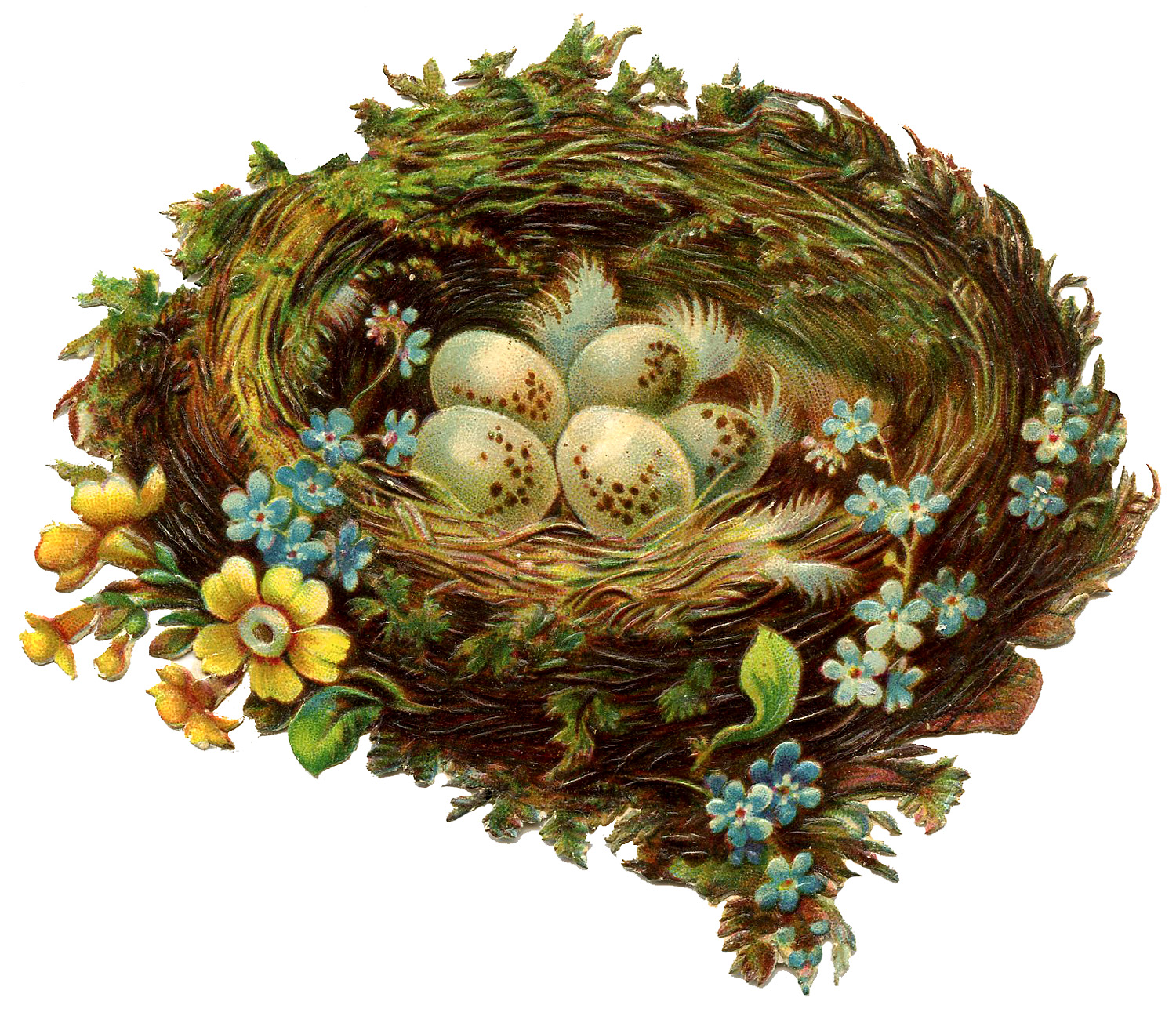 Vintage Graphic Pretty Nest with Eggs & Flowers The Graphics Fairy