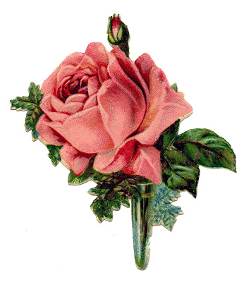 Vintage Graphic - Pink Rose Boutonniere - The Graphics Fairy