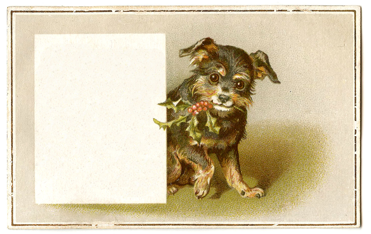 Antique Christmas Images - Dog with Holly - The Graphics Fairy