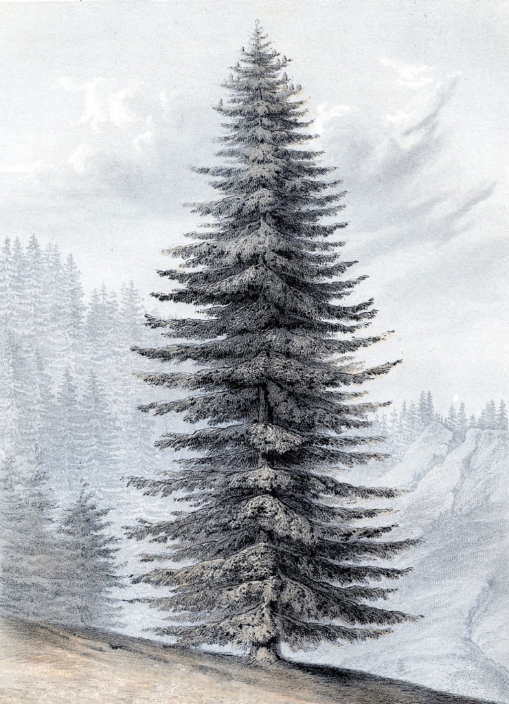 Giant Christmas Tree Printable Art