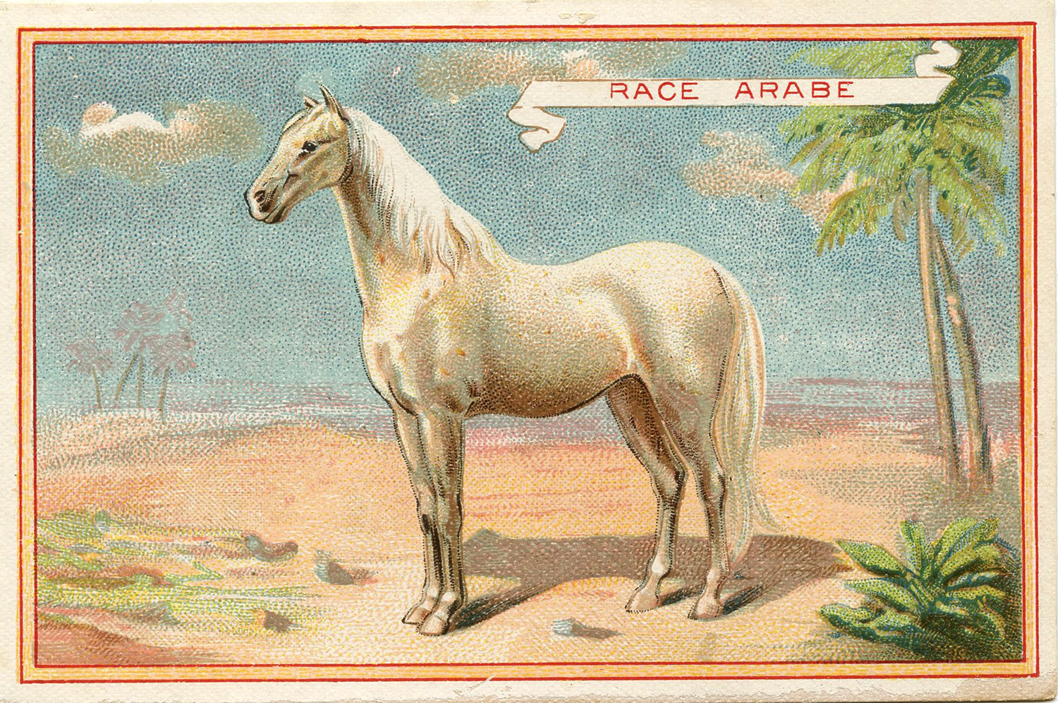 White Horse Postcard