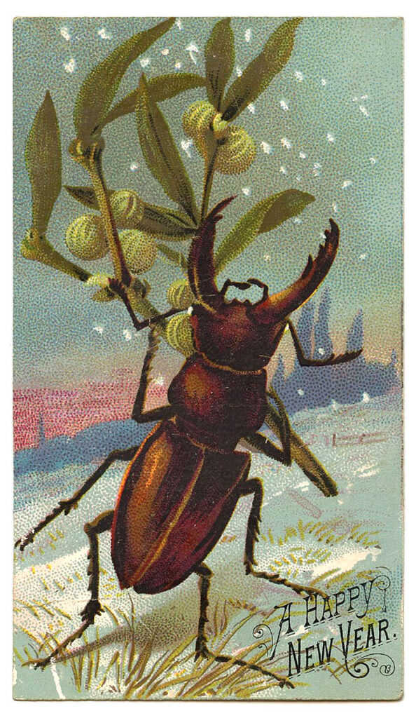 New Year Beetle Image