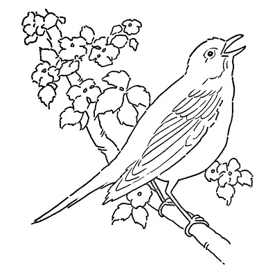 Line Art - Coloring Page - Bird with Blossoms - The  