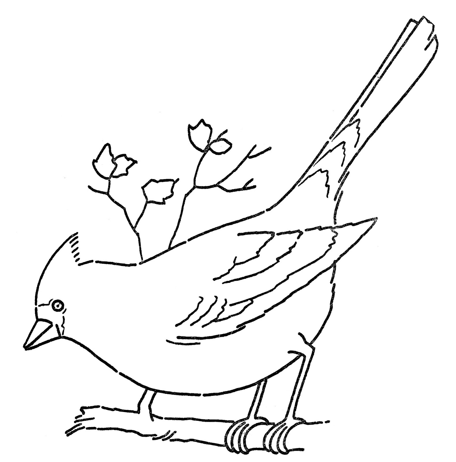 Download Line Art - Coloring Page - Cardinal on Branch - The Graphics Fairy