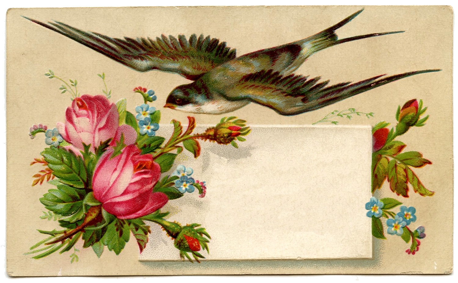 vintage image pretty calling card with bird the graphics fairy