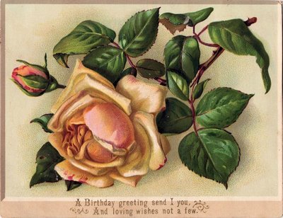 victorian graphic gorgeous roses the graphics fairy