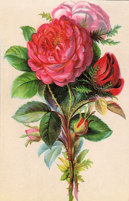 Free Vintage Clip Art - Beautiful Bouquet - The Graphics Fairy