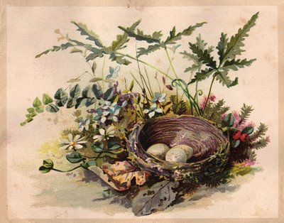 Free Vintage Clip Art - Darling Nest with Eggs - The Graphics Fairy