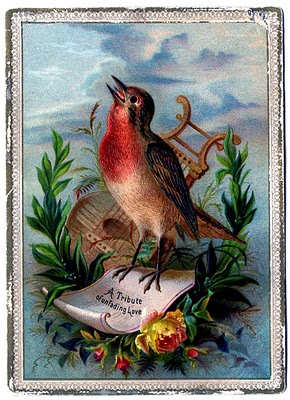 Vintage Clip Art - Amazing Bird Card - Robin - The Graphics Fairy