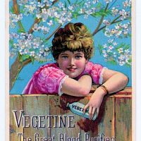 Free Vintage Clip Art - 2 Victorian Bat Ladies - Halloween - The ...