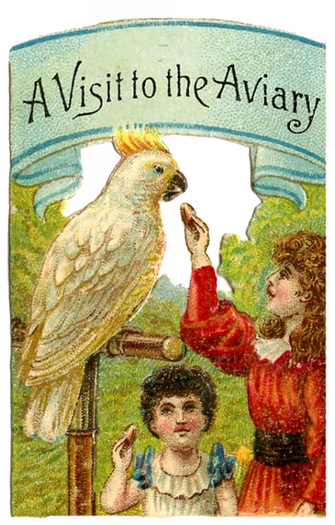 Aviary with children and bird image