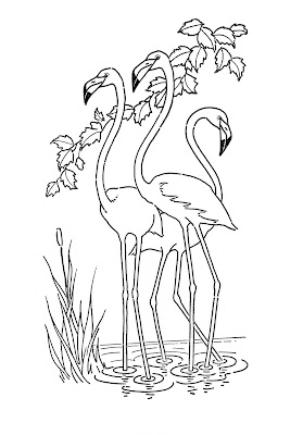 Download Kids Printable - Flamingo - Coloring Page - The Graphics Fairy