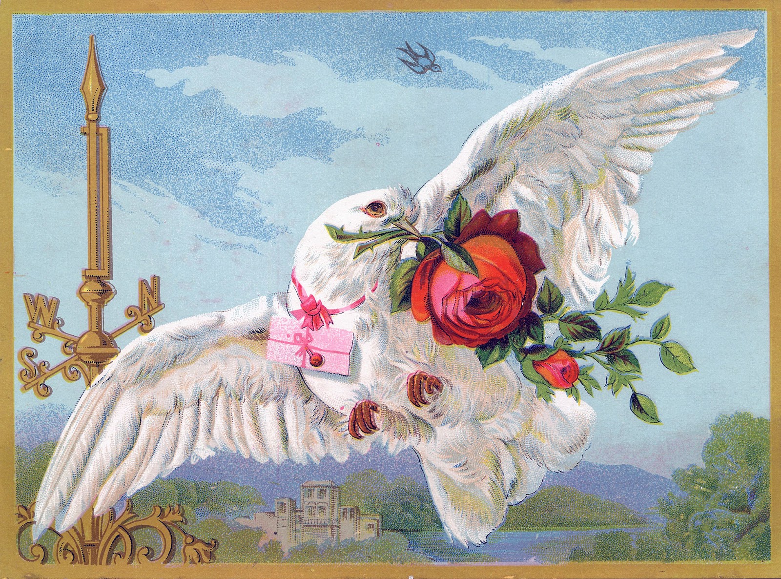 Vintage Bird Image White Dove with Roses The Graphics